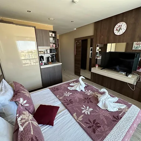 公寓 Sea View Private Paradiso B 509